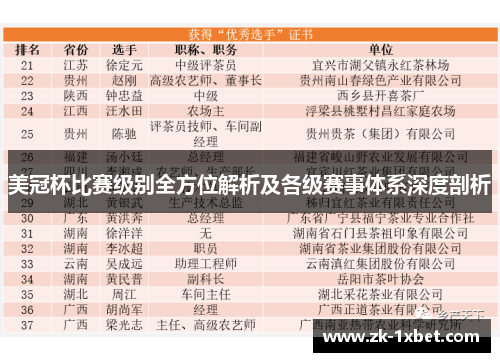 美冠杯比赛级别全方位解析及各级赛事体系深度剖析