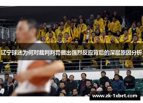 辽宁球迷为何对裁判判罚做出强烈反应背后的深层原因分析