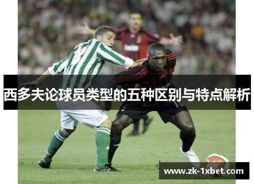 西多夫论球员类型的五种区别与特点解析
