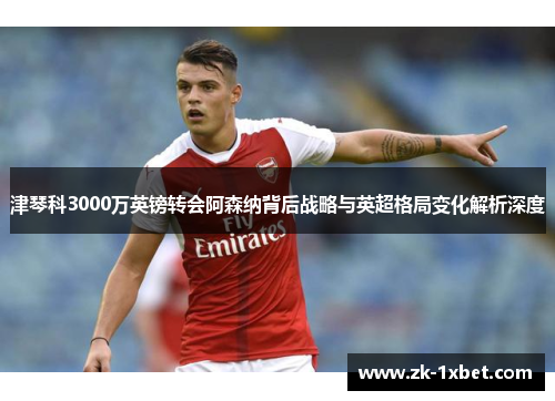 津琴科3000万英镑转会阿森纳背后战略与英超格局变化解析深度