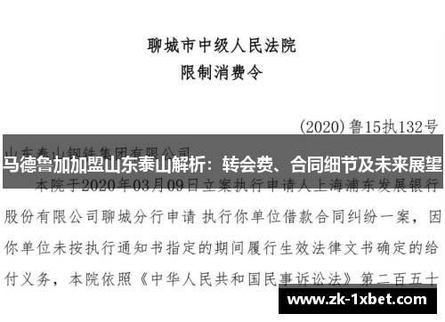 马德鲁加加盟山东泰山解析：转会费、合同细节及未来展望